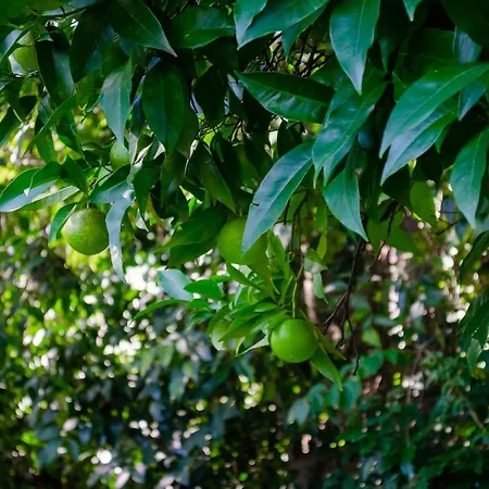 El Huerto De Holiday home